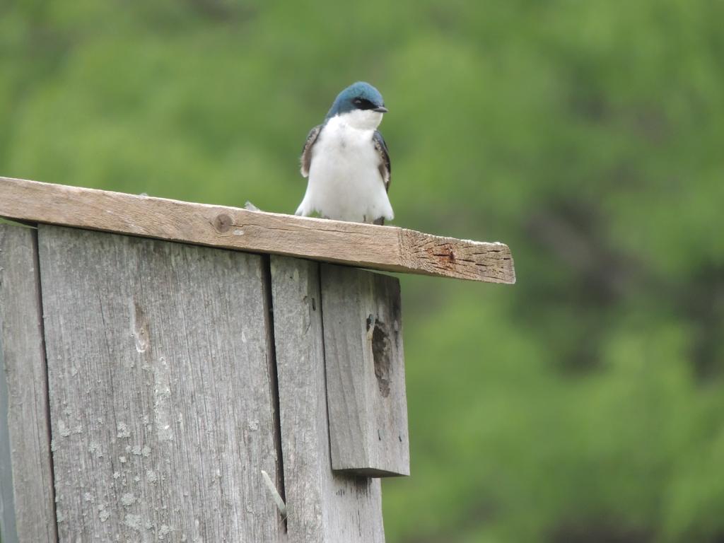 DSCN9748.jpg