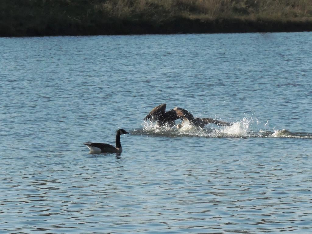 DSCN9757.jpg