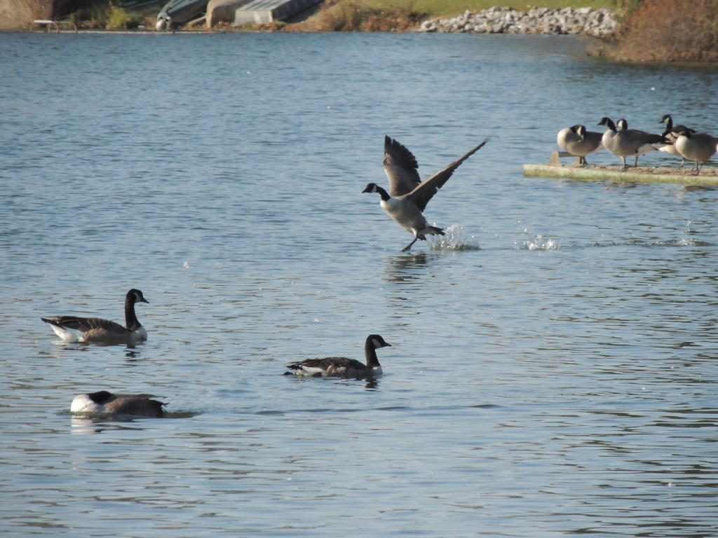 DSCN9761.jpg