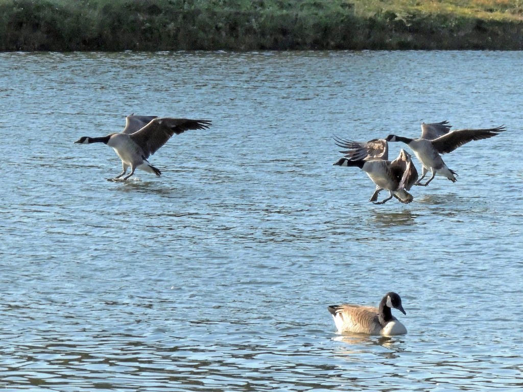 DSCN9762.jpg