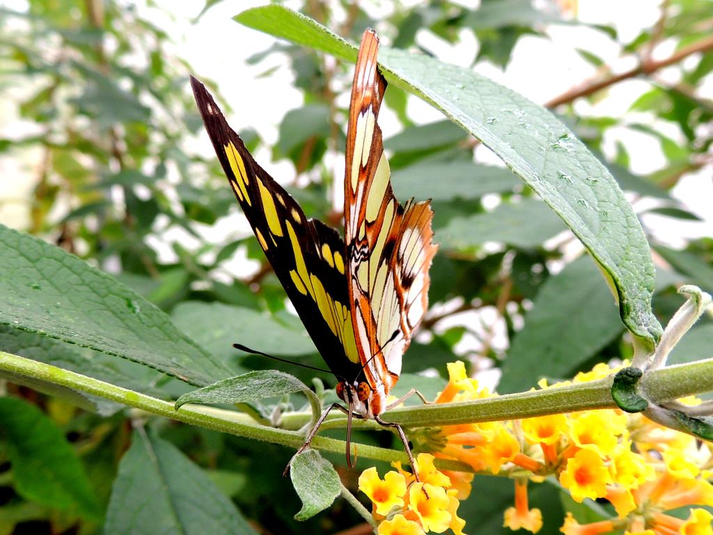 DSCN9763.jpg
