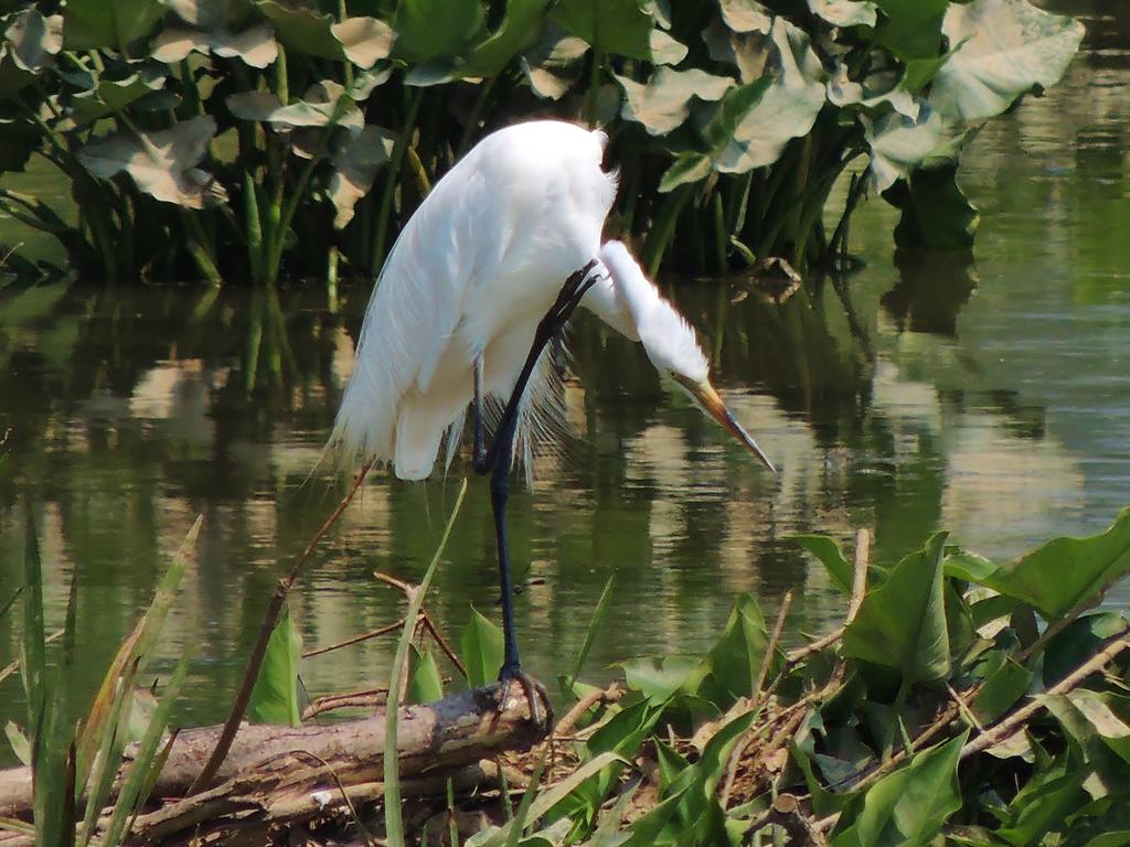 DSCN9764.jpg