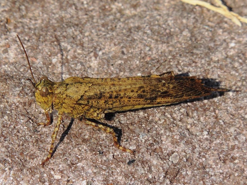 DSCN9773.jpg