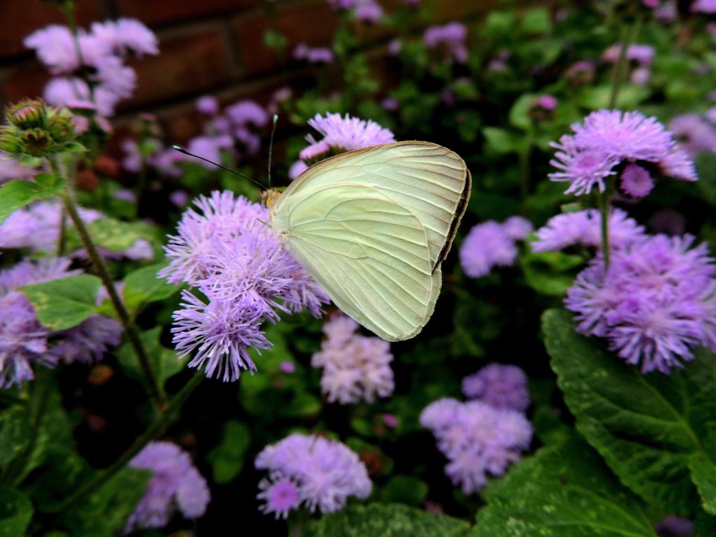 DSCN9792.jpg