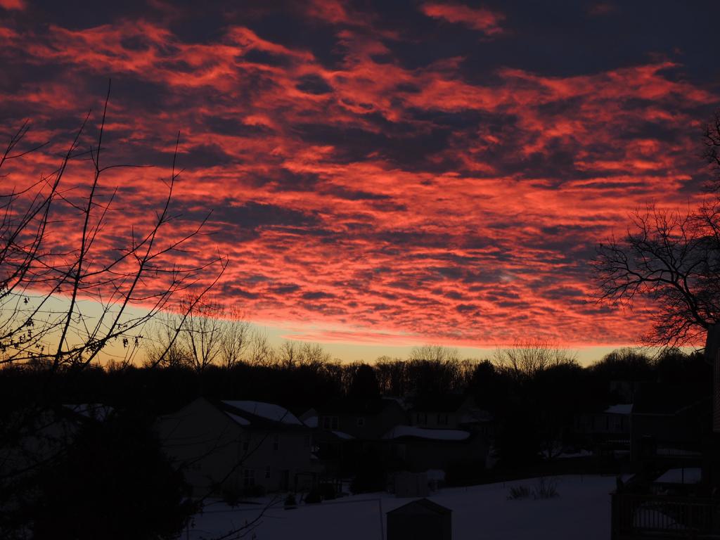 DSCN9795.jpg