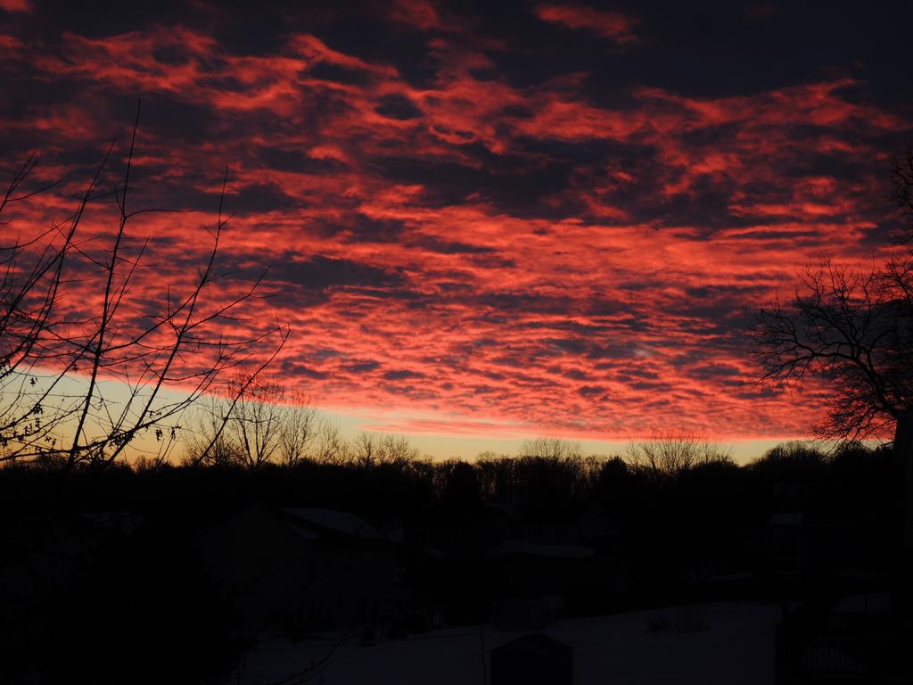DSCN9795.jpg