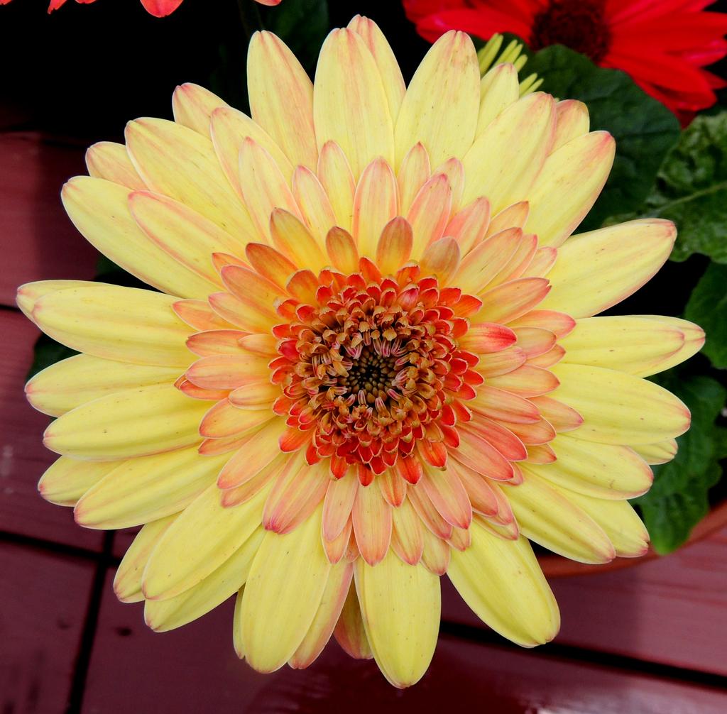 DSCN9797.jpg