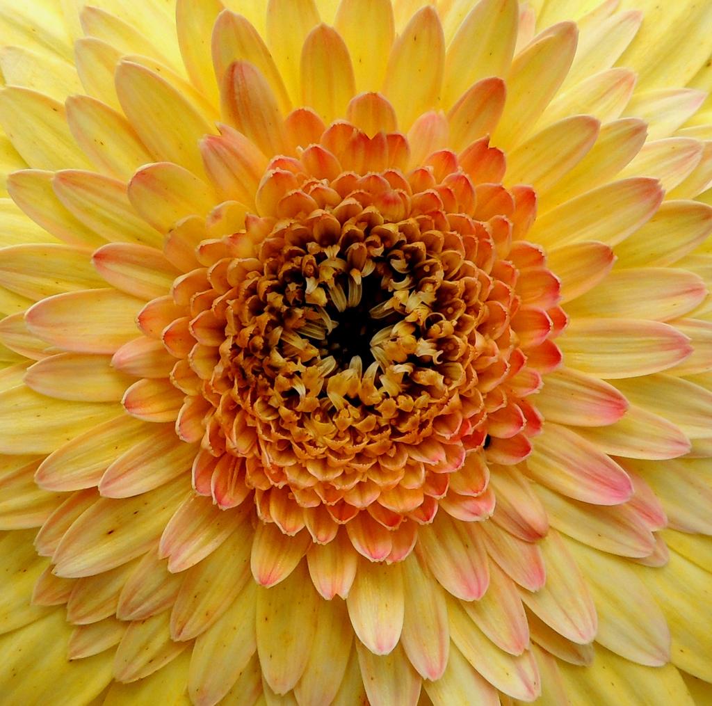 DSCN9799.jpg