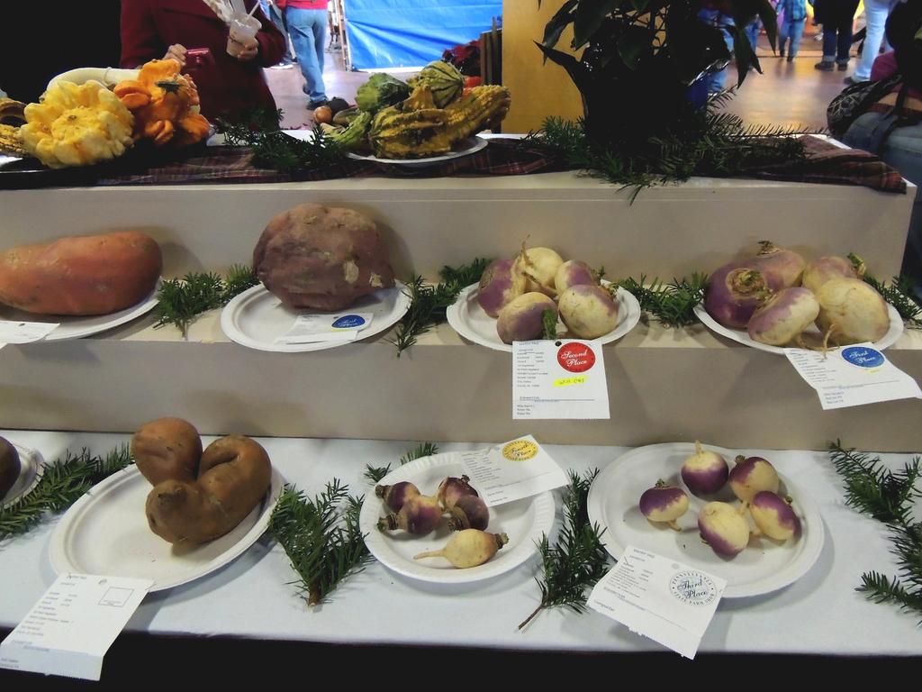 DSCN9818.jpg