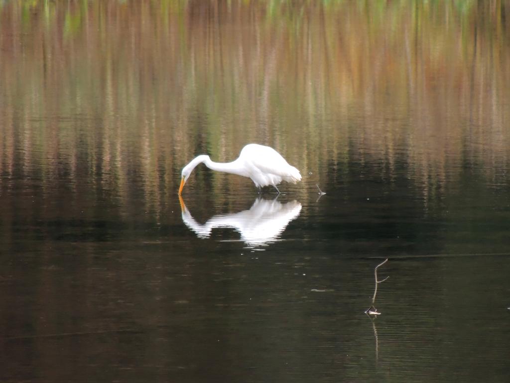 DSCN9828.jpg