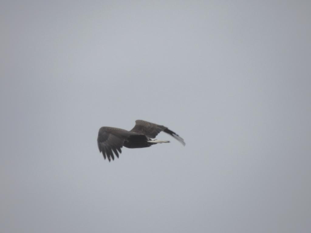 DSCN9829.jpg