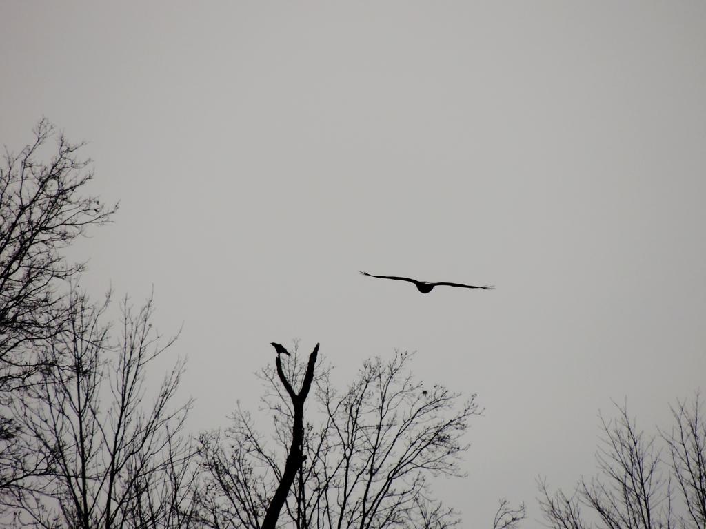 DSCN9831.jpg
