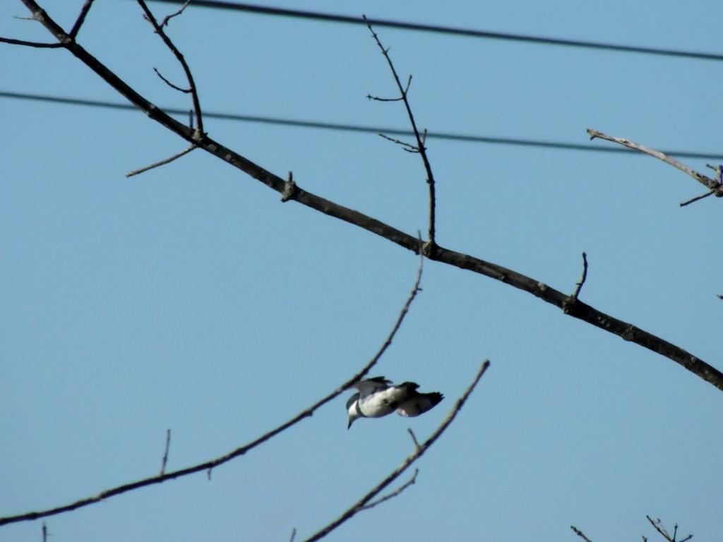 DSCN9833.jpg
