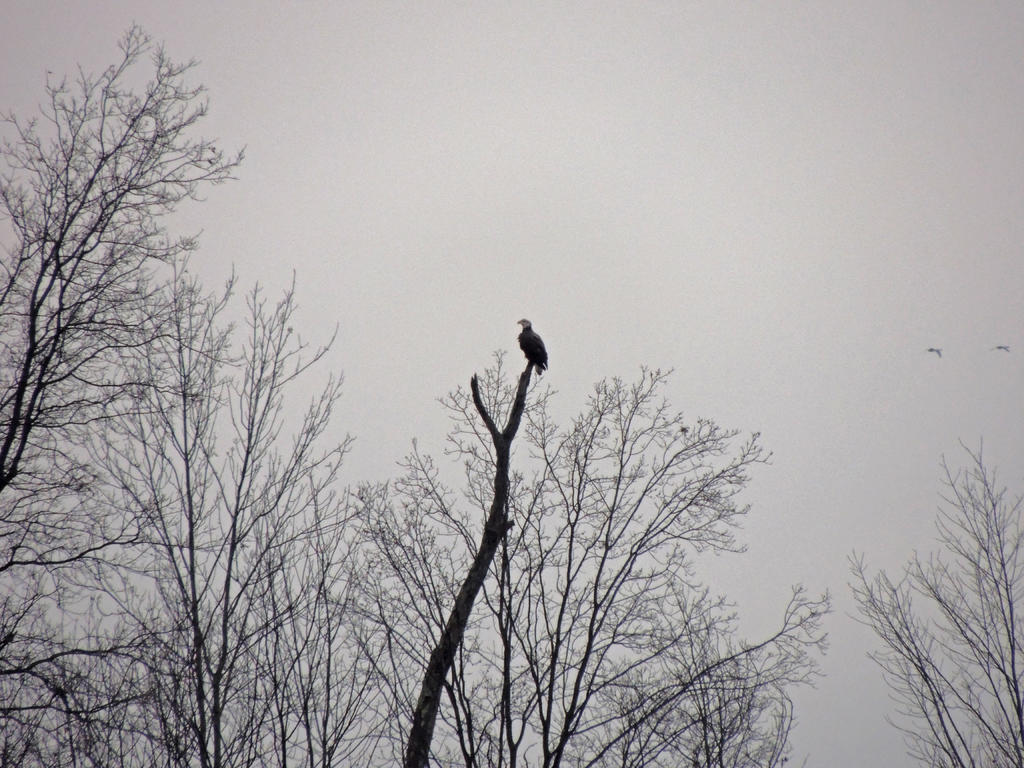 DSCN9834.jpg