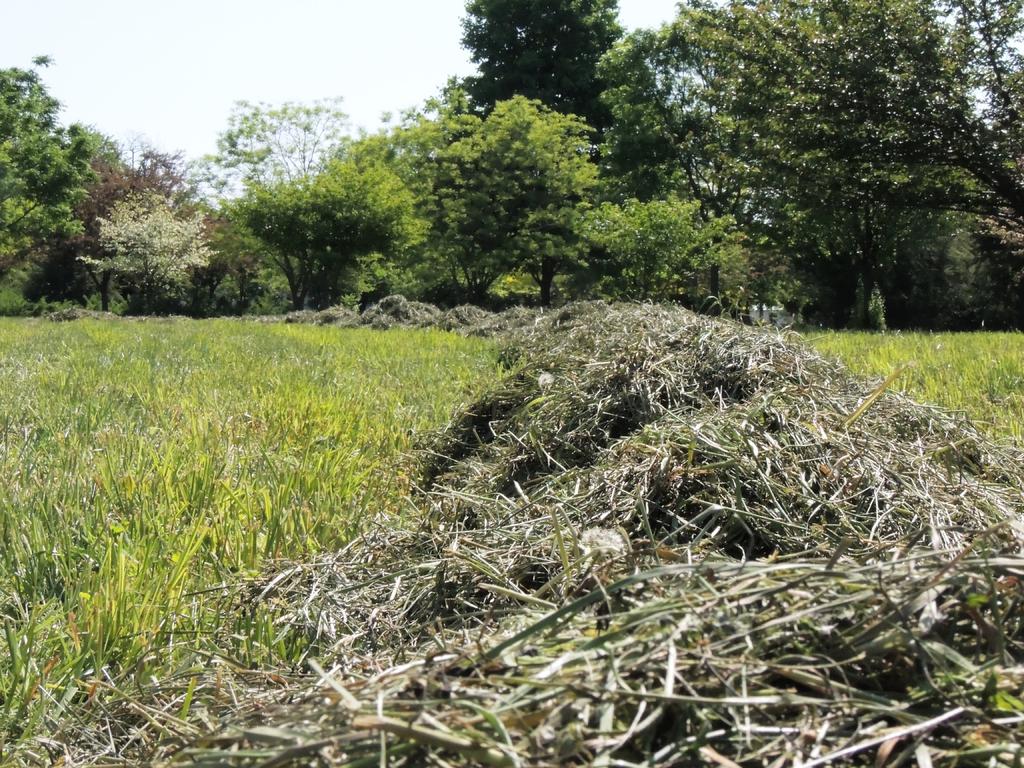 DSCN9839.jpg