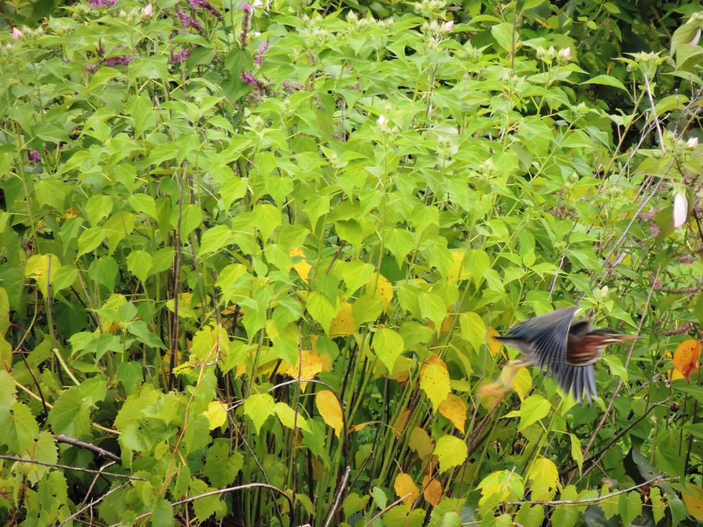 DSCN9840.jpg