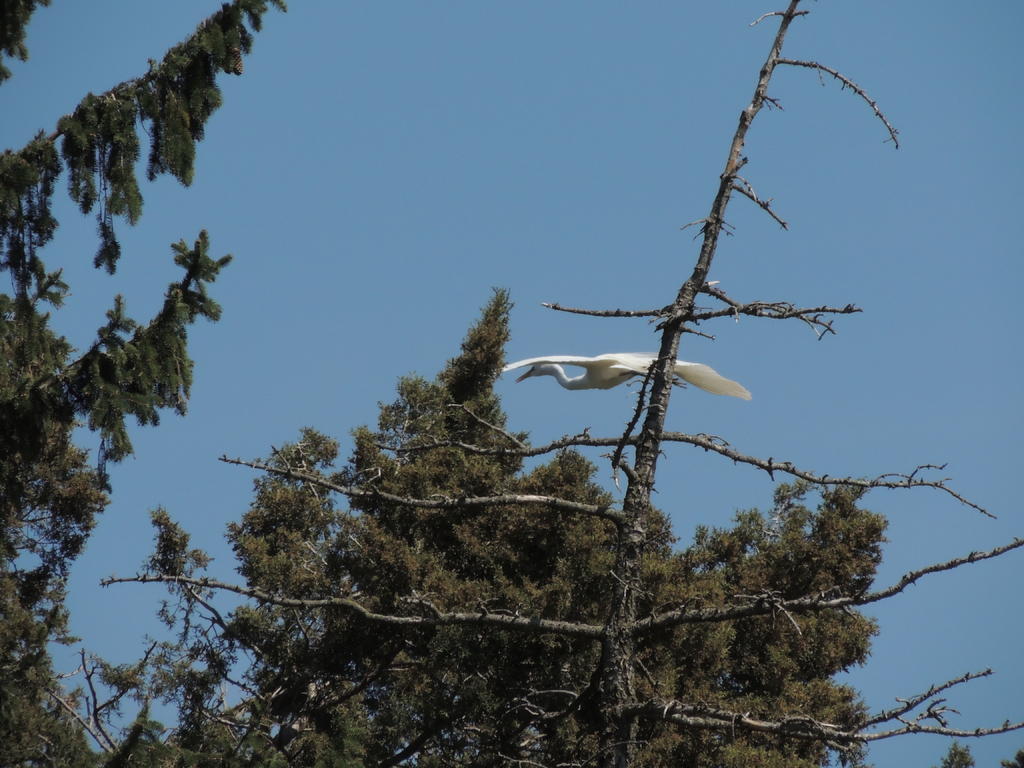 DSCN9840.jpg