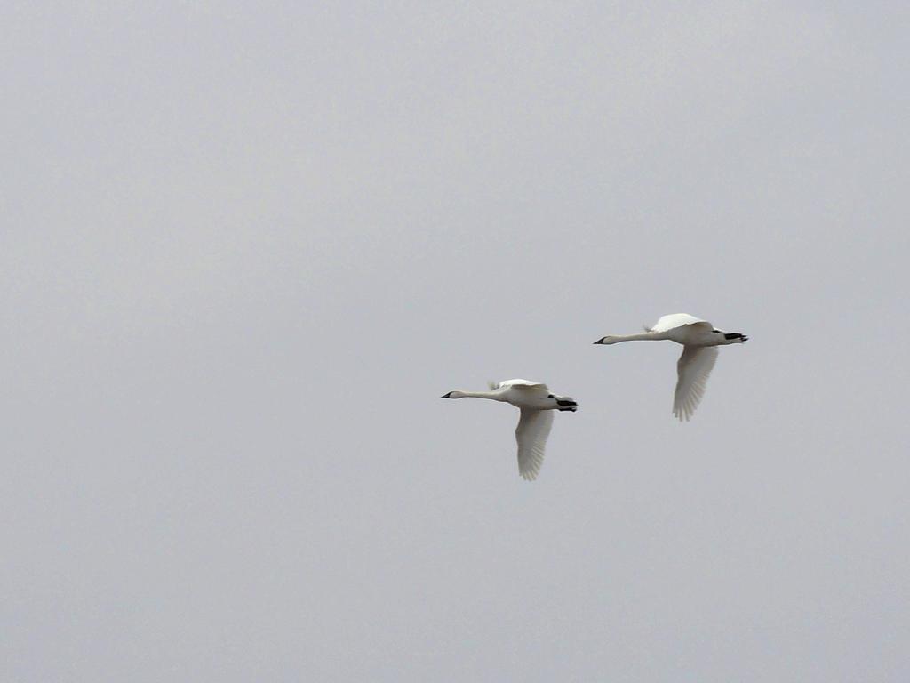 DSCN9853.jpg