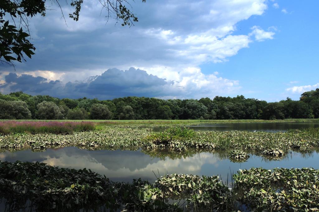 DSCN9857.jpg