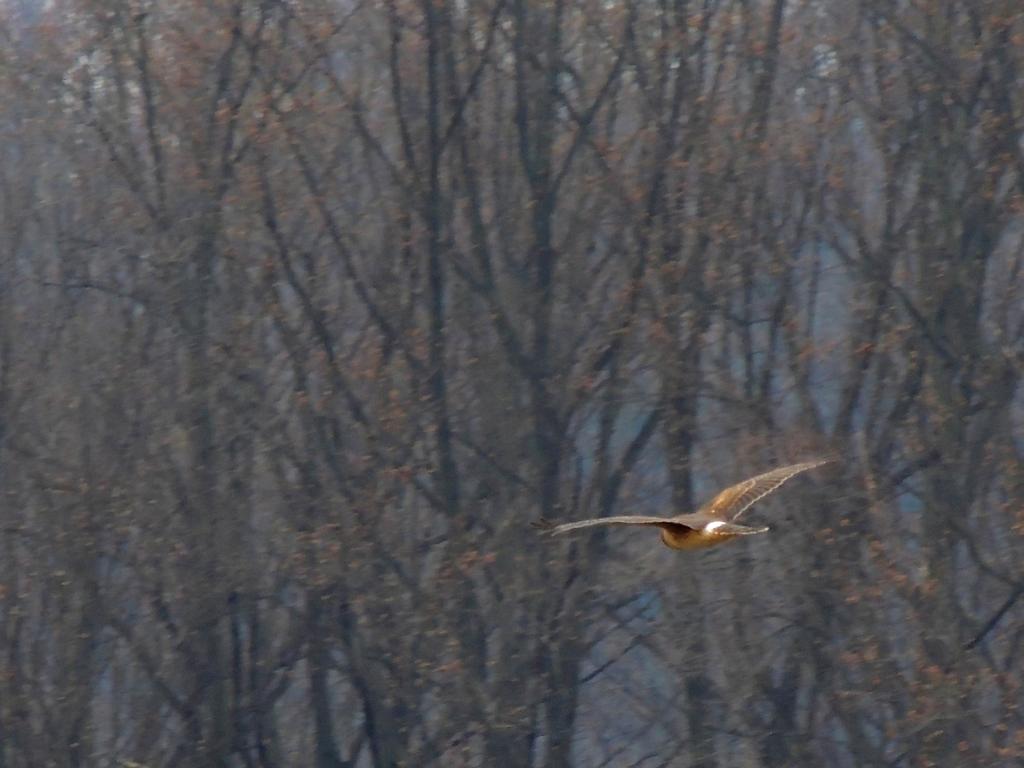 DSCN9857.jpg