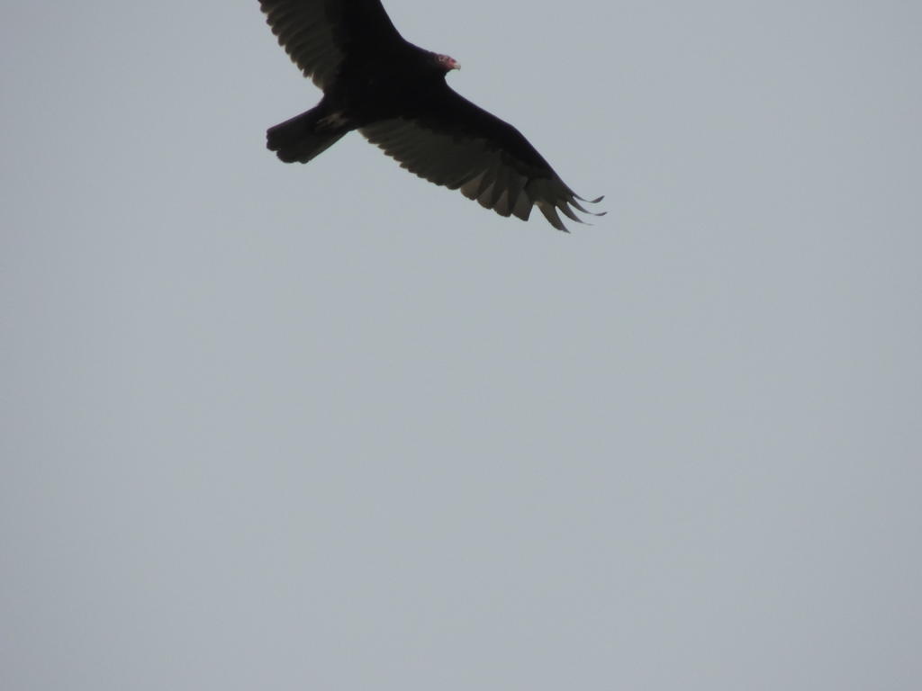 DSCN9870.jpg
