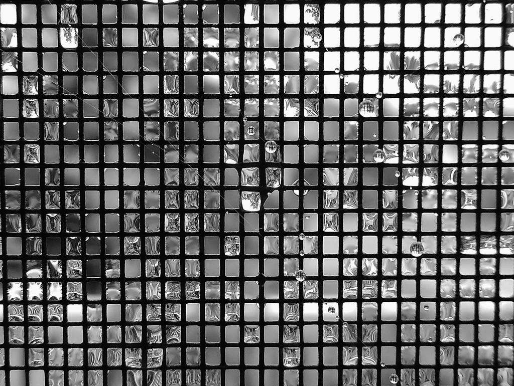 DSCN9871.jpg