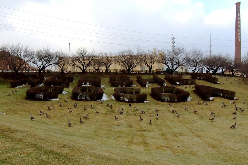 DSCN9873.jpg