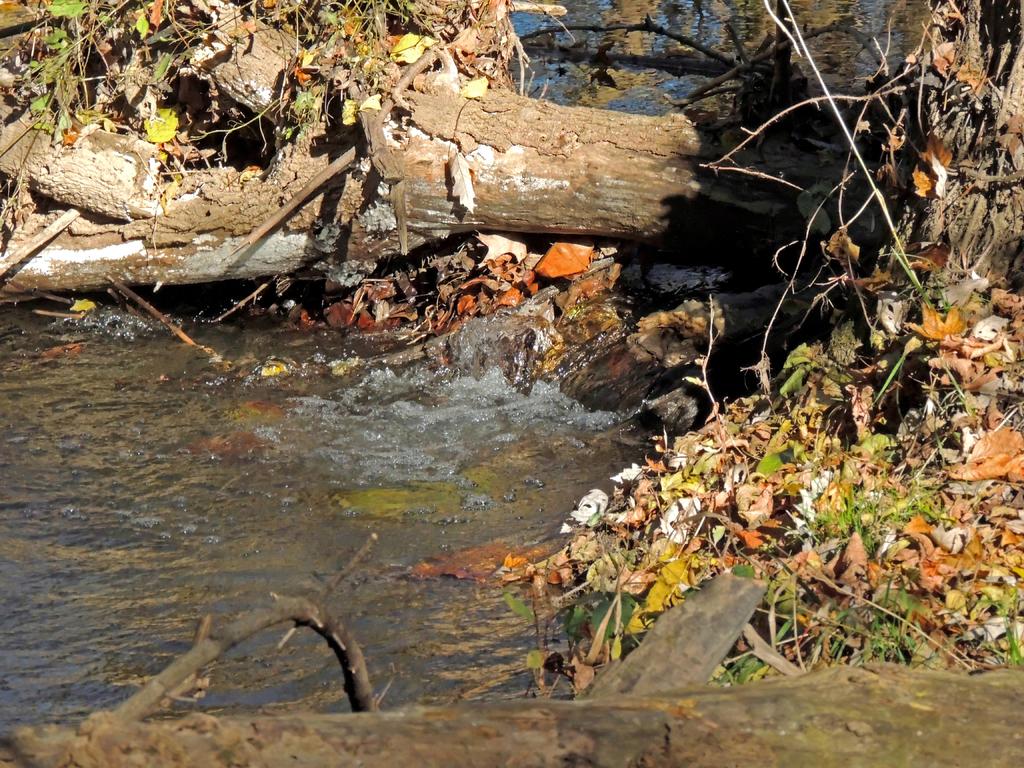 DSCN9875.jpg