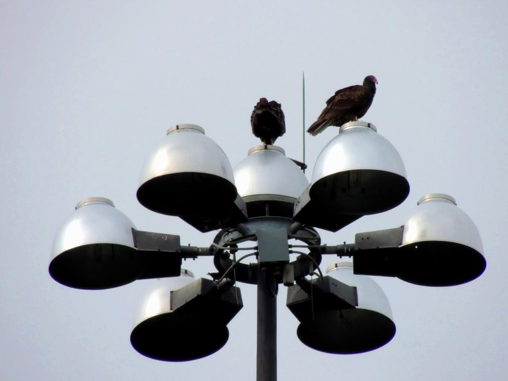 DSCN9875.jpg