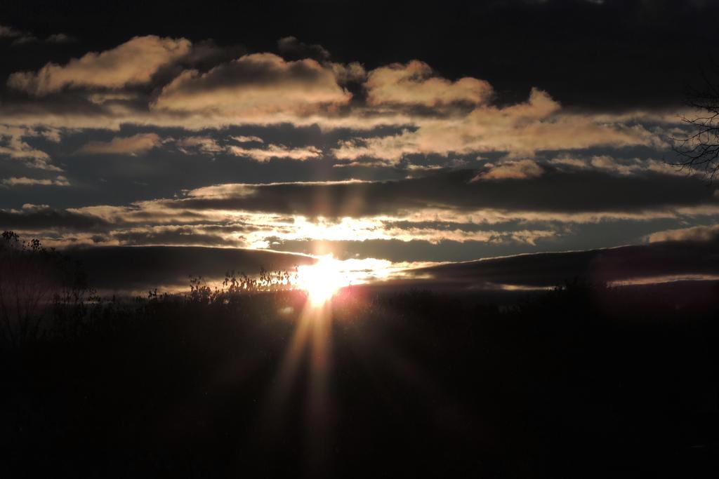 DSCN9878.jpg