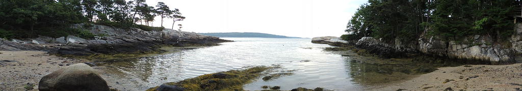 DSCN9879.jpg
