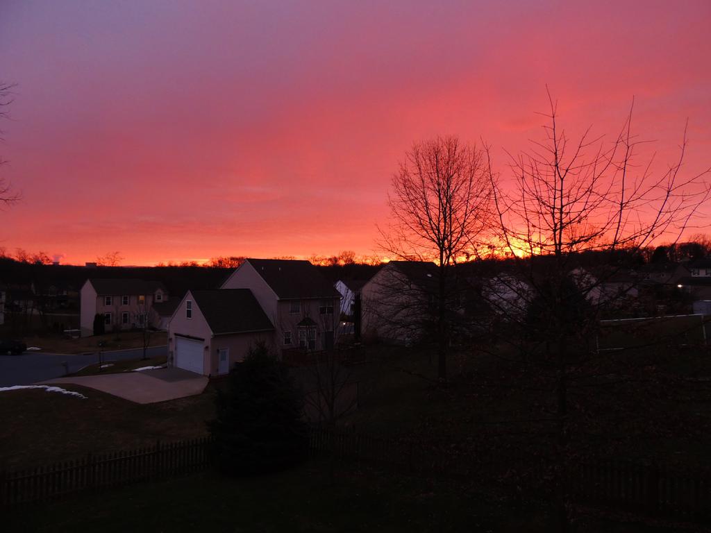 DSCN9890.jpg