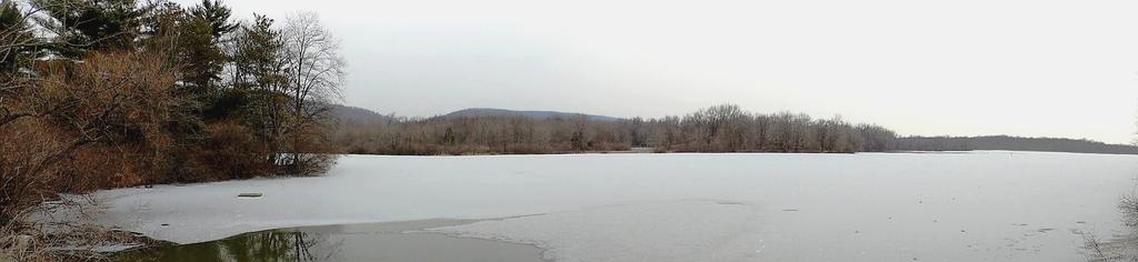 DSCN9890.jpg