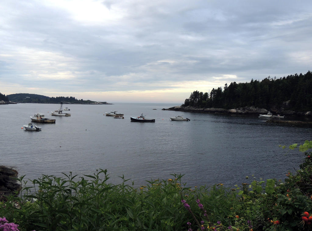 DSCN9897.jpg