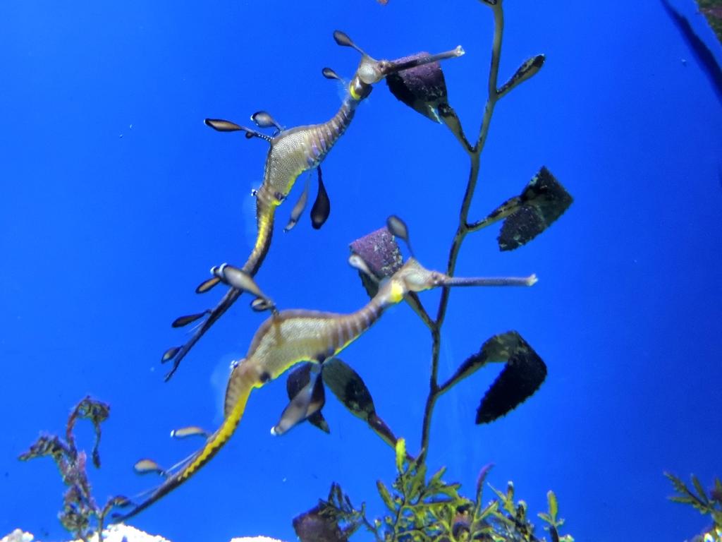 DSCN9898.jpg