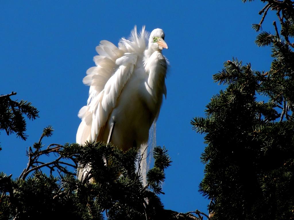 DSCN9898.jpg