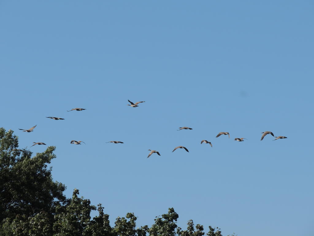 DSCN9908.jpg