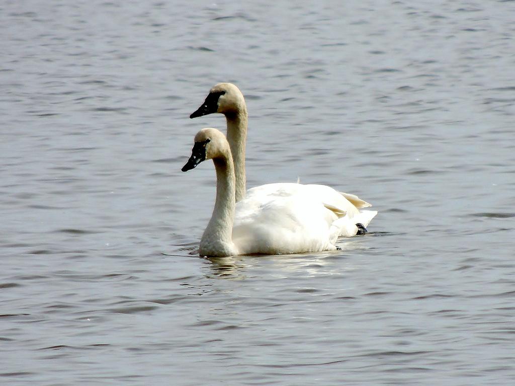 DSCN9922.jpg