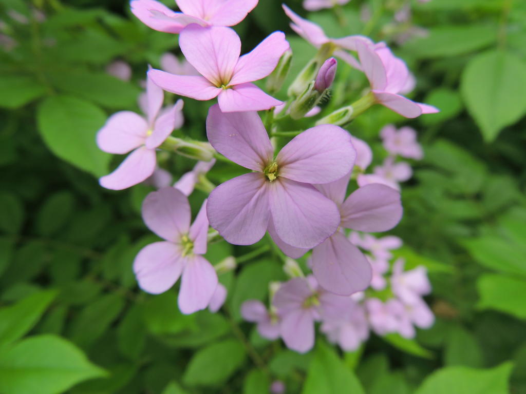 DSCN9923.jpg