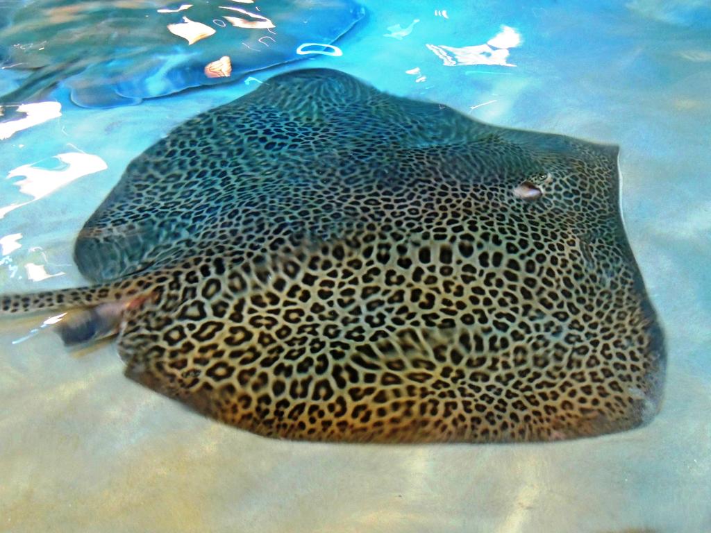 DSCN9925.jpg