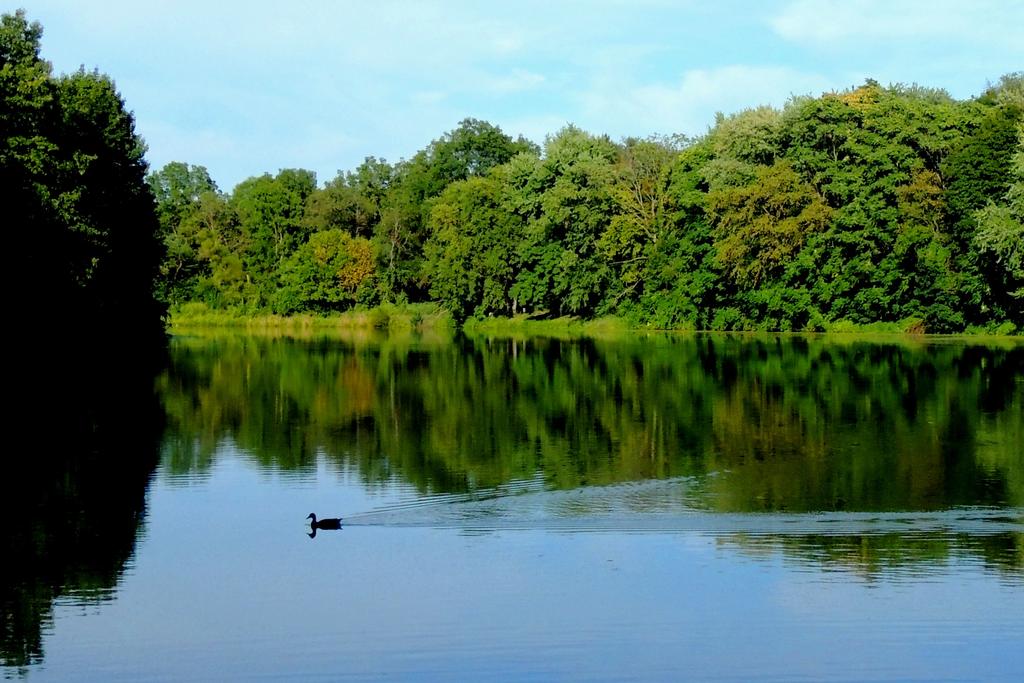 DSCN9932.jpg