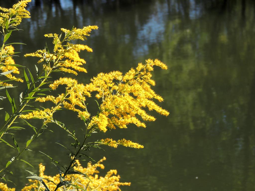 DSCN9951.jpg