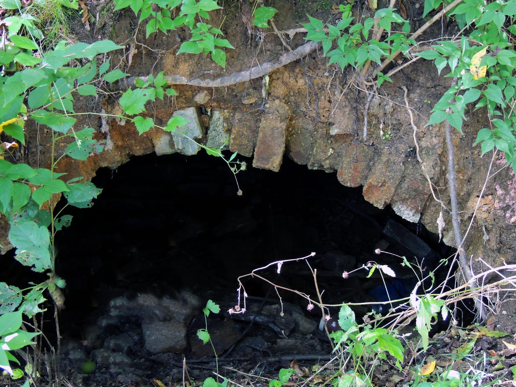 DSCN9954.jpg