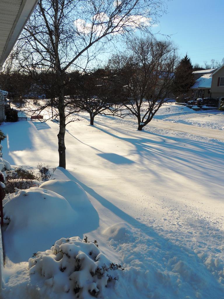 DSCN9956.jpg