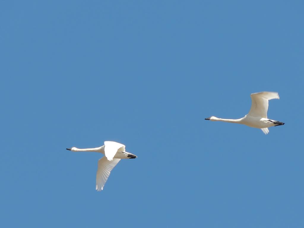 DSCN9976.jpg
