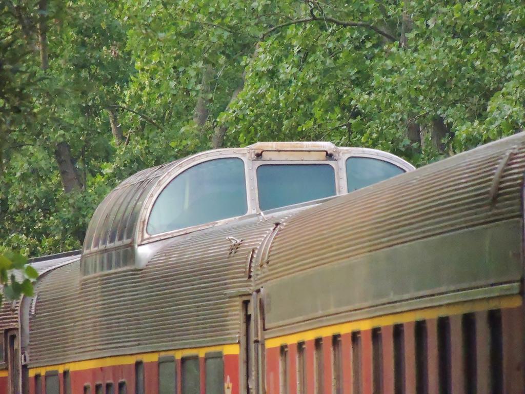 DSCN9979.jpg
