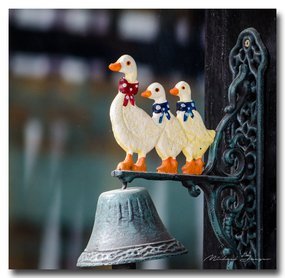 ducks-ype-banbung (1).jpg