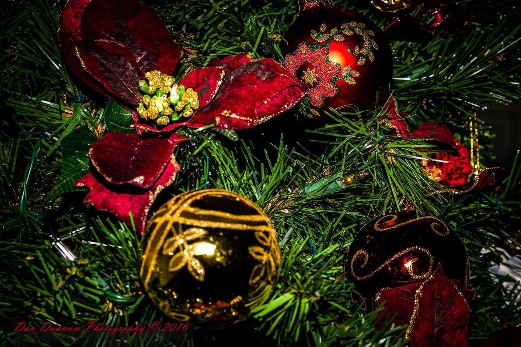 Dunnum Christmas 2016-9727.jpg
