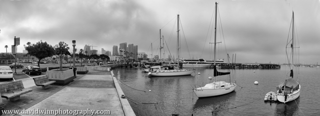 DW1_7429-pan-fx-BW-1-2.jpg