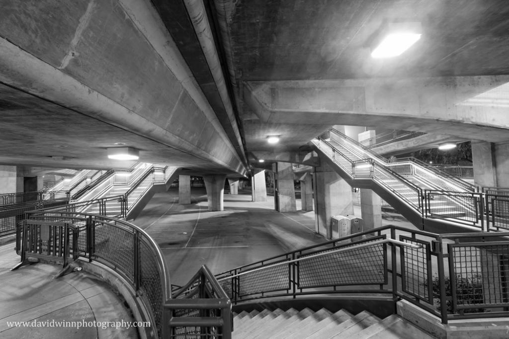 DW3_2473-Edit-3.jpg